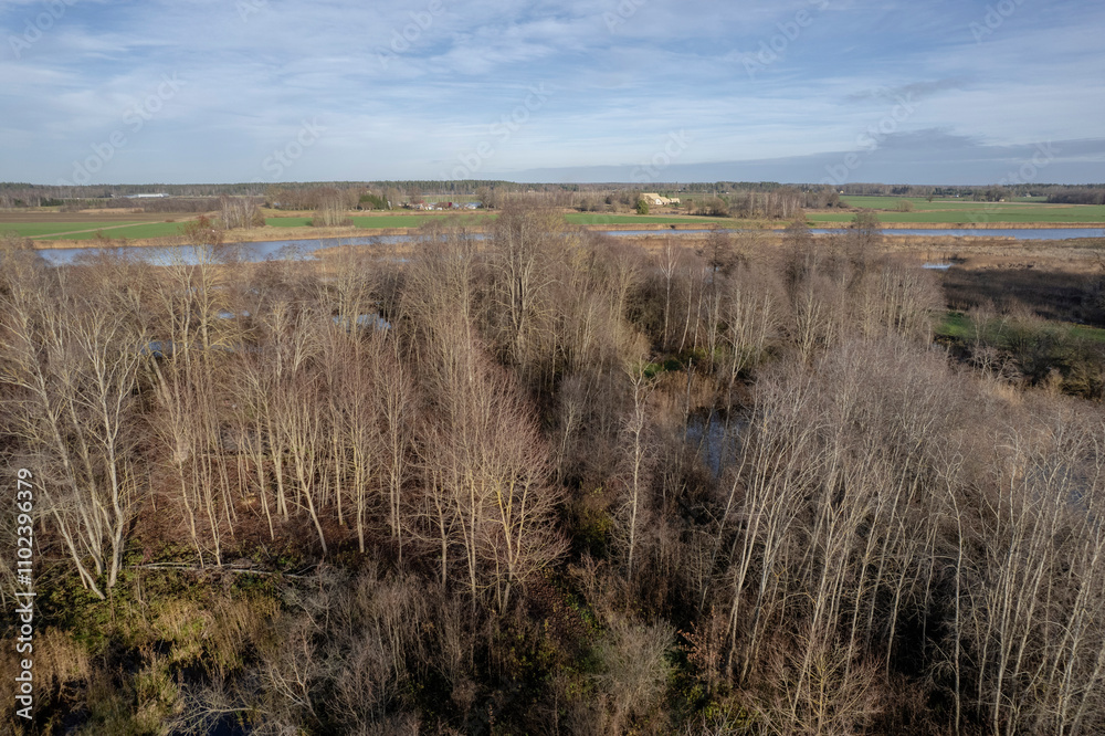 aerial landscape with leafless deciduous trees in forest and some water ponds aerial landscape with leafless deciduous trees in forest and some water ponds