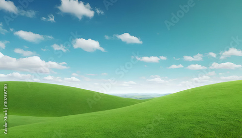 green grass and blue sky