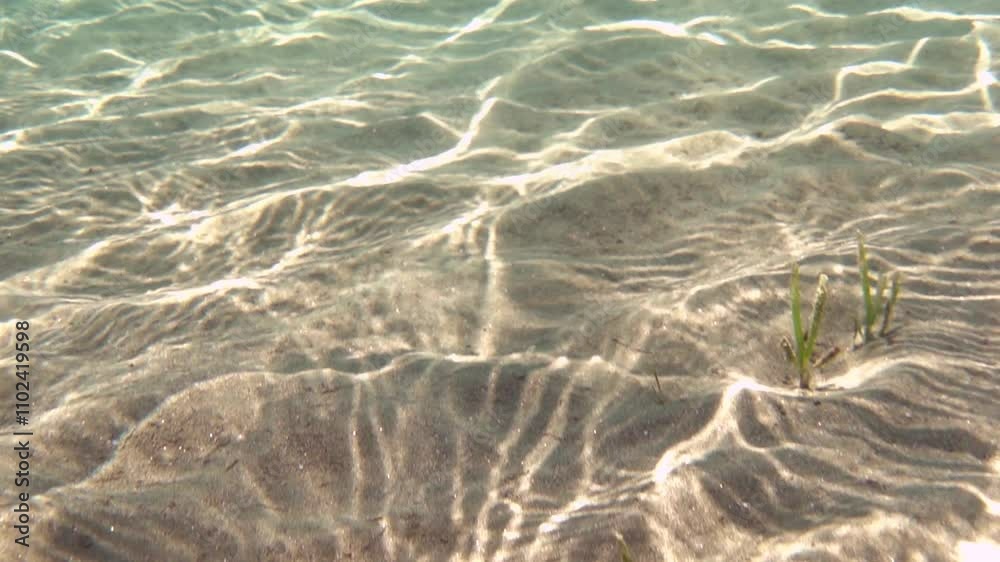 Moving sunspots on the sea floor on a bright sunny day. Sunlight patches slow motion Moving sunspots on the sea floor on a bright sunny day. Sunlight patches slow motion