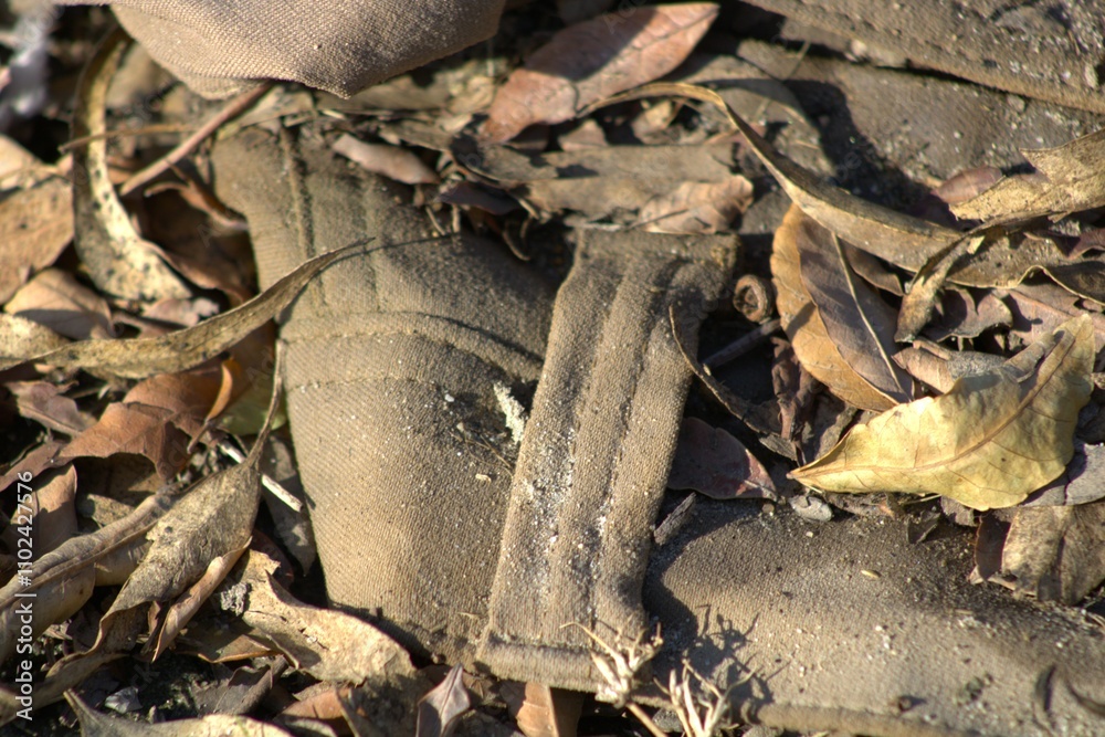 khaki pants lost in dirt and leaves khaki pants lost in dirt and leaves