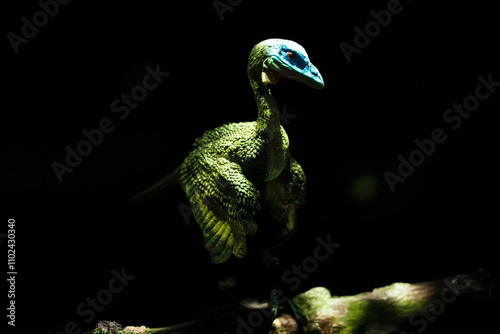 creative photographs of the head of a small dinosaur photo