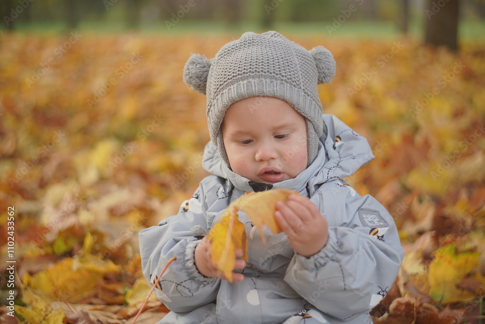 Little boy playing in autumn park. Child on yellow fallen leaves on a sunny autumn day. Little boy playing in autumn park. Child on yellow fallen leaves on a sunny autumn day.