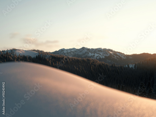 Snowy Trees at Sunset with Soft Golden Glow 