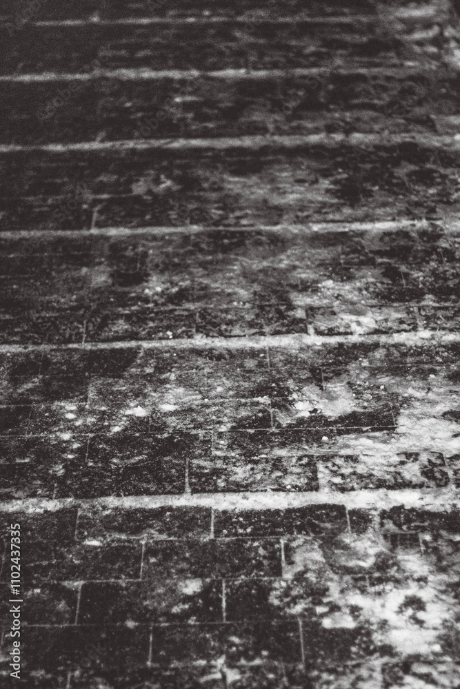 Fototapeta premium Snow-covered paving stones with textured surfaces, visible lines, and faint anti-slip protrusions. Winter evening outdoor scene in a park. Urban cold atmosphere. 