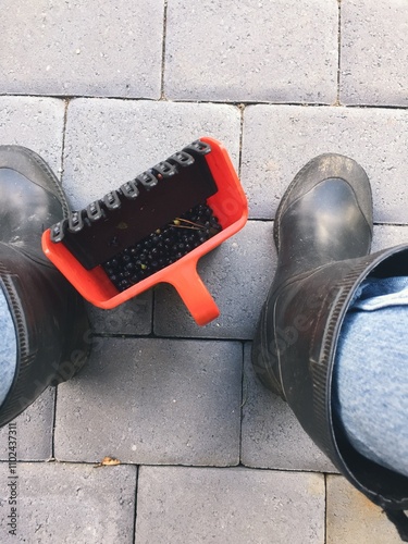 Bild auf Leinwand boots and a blueberry bicker tool