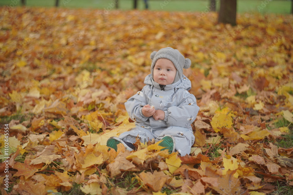 Little boy playing in autumn park. Child on yellow fallen leaves on a sunny autumn day. Little boy playing in autumn park. Child on yellow fallen leaves on a sunny autumn day.