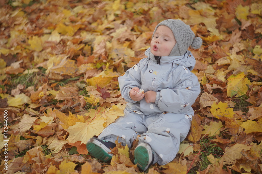 Little boy playing in autumn park. Child on yellow fallen leaves on a sunny autumn day. Little boy playing in autumn park. Child on yellow fallen leaves on a sunny autumn day.