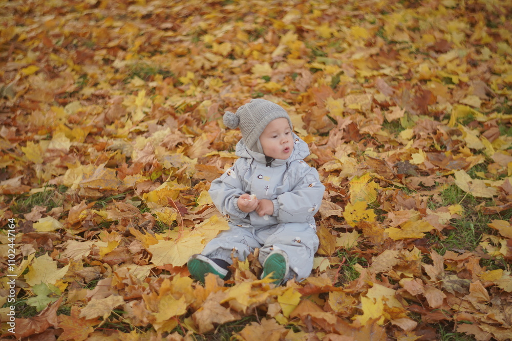 Little boy playing in autumn park. Child on yellow fallen leaves on a sunny autumn day. Little boy playing in autumn park. Child on yellow fallen leaves on a sunny autumn day.
