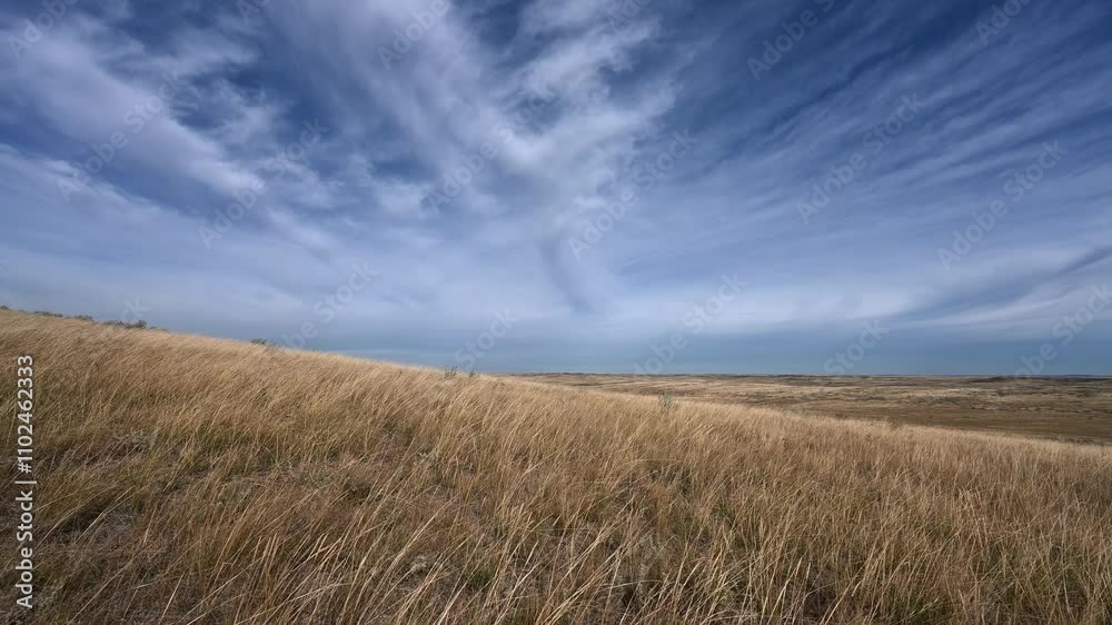 Golden autumn colored grass blowing in the prairie wind under a blue sky with clouds
Golden autumn colored grass blowing in the prairie wind under a blue sky with clouds