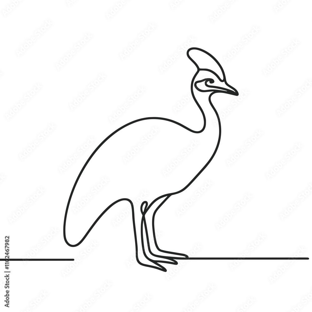 Fototapeta premium Cassowary line art illustration standing on transparent background for Australia Day and animal lovers