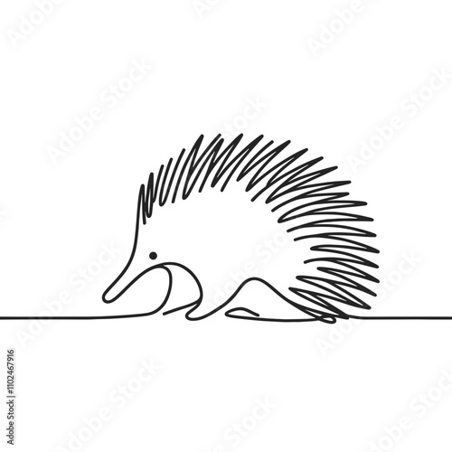 Echidna line art illustration on transparent background for Australia Day and animal lovers