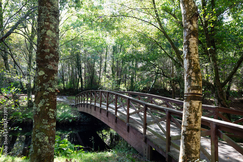 Wooden walkway on the river walk of the Anllons River in A Laracha, A Coruña. photo