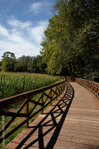 Wooden walkway on the river walk of the Anllons River in A Laracha, A Coruña. photo