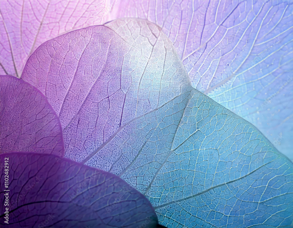 serene transparent leaves glowing in soft light, creating a peaceful mood