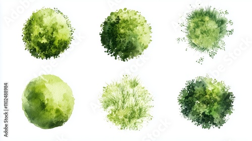 green grass isolated on white background, Set of watercolor tree top view for landscape plan and architecture layout 