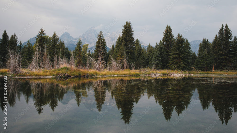 Swan lake in the Grand Teton National Park Swan lake in the Grand Teton National Park