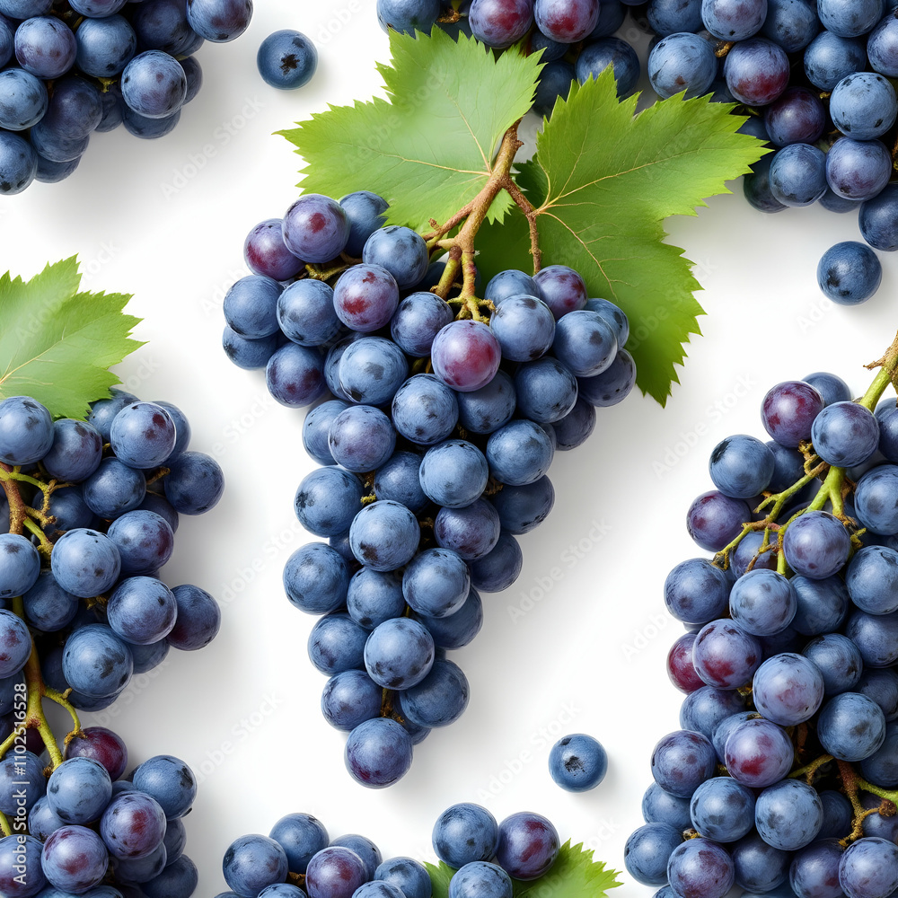 Fototapeta premium Grapes on the white background