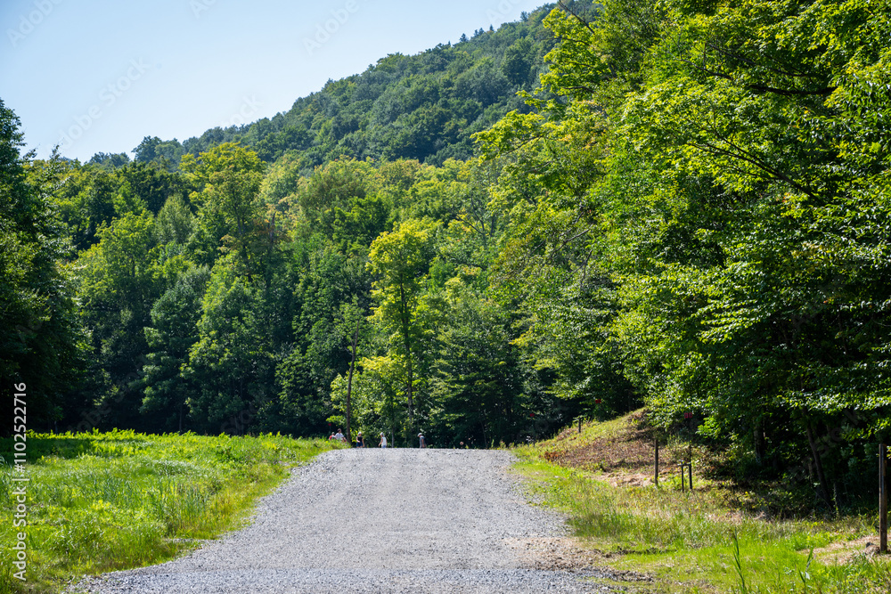 Obraz premium Explore the Beautiful Trails and Views of Mont Orford