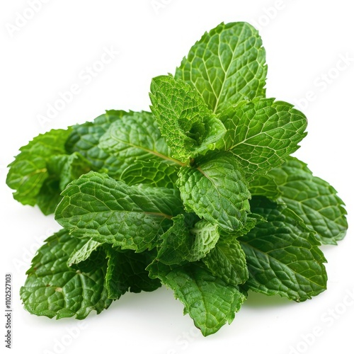 Fresh mint leaves isolated on white background.