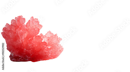 Red Coral on Transparent Background