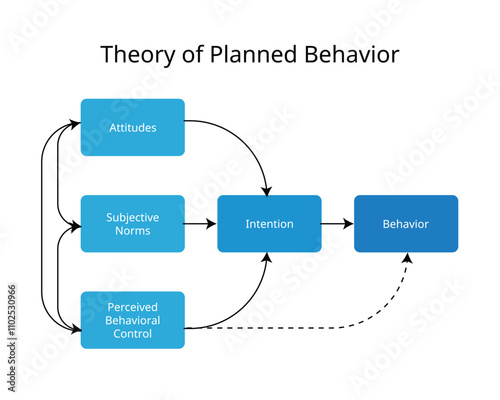 Theory of planned behavior from attitude to behavior