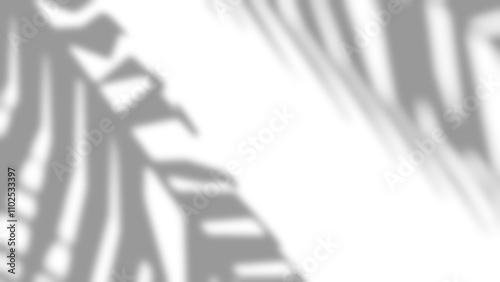 Gobo shadows of Palm tree leaves on a plain transparent background, 4k UHD 16:9. Realistic tropical leaves shadows for overlay, multiply, linear burn blend modes. Create realistic shadow effect.