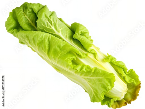 there is a lettuce that is cut in half and ready to be eaten. photo