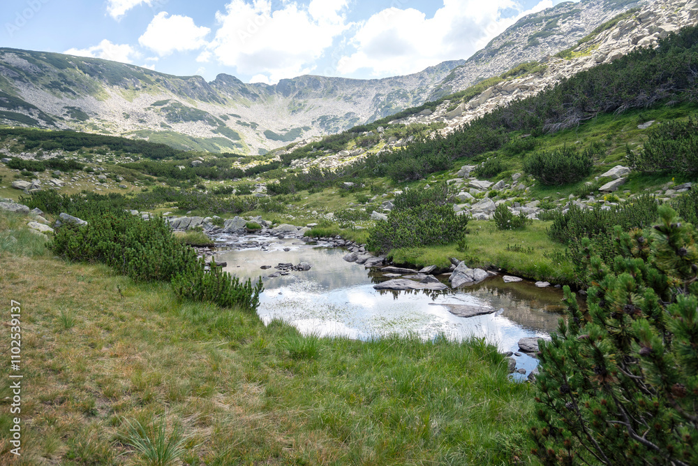 Obraz premium Summer view of Pirin Mountain around Banderitsa River, Bulgaria