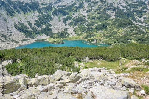 Summer view of Pirin Mountain around Banderitsa River, Bulgaria photo