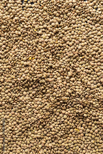 Closeup of green lentils photo