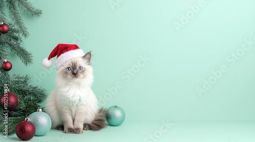 Adorable Kitten in Santa Hat Christmas Ornaments Festive Background photo
