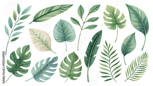 Watercolor Tropical Leaves Set with 15 Isolated Green Elements, tropical, leaves, watercolor, botanical