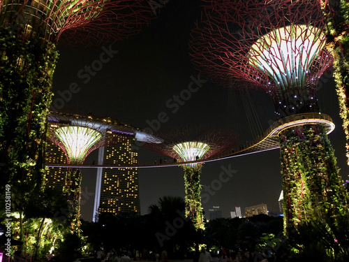 Photography Singapore Rain Forest at night