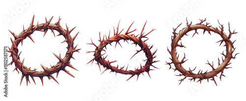 Decorative Thorn Circle Illustrations on Transparent Background