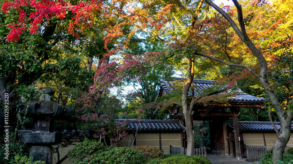 色付き始めた寺院の山門 色付き始めた寺院の山門