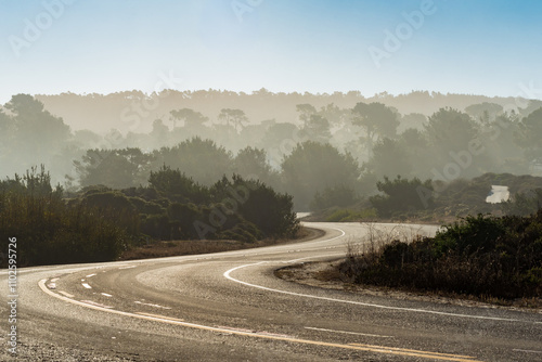 Fog on 17-mile Drive in Pebble Beach