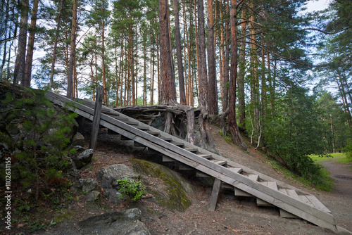 wooden staircase in the forest