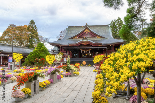 笠間稲荷神社の菊祭り
