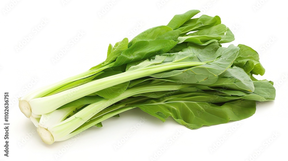 Chinese Cabbage - A Fresh and Nutritious Vegetable Display. The Green and White Chinese Cabbage, with Its Lush Leaves and Firm Structure, Standing Out as a Staple in Many Cuisines Chinese Cabbage - A Fresh and Nutritious Vegetable Display. The Green and White Chinese Cabbage, with Its Lush Leaves and Firm Structure, Standing Out as a Staple in Many Cuisines