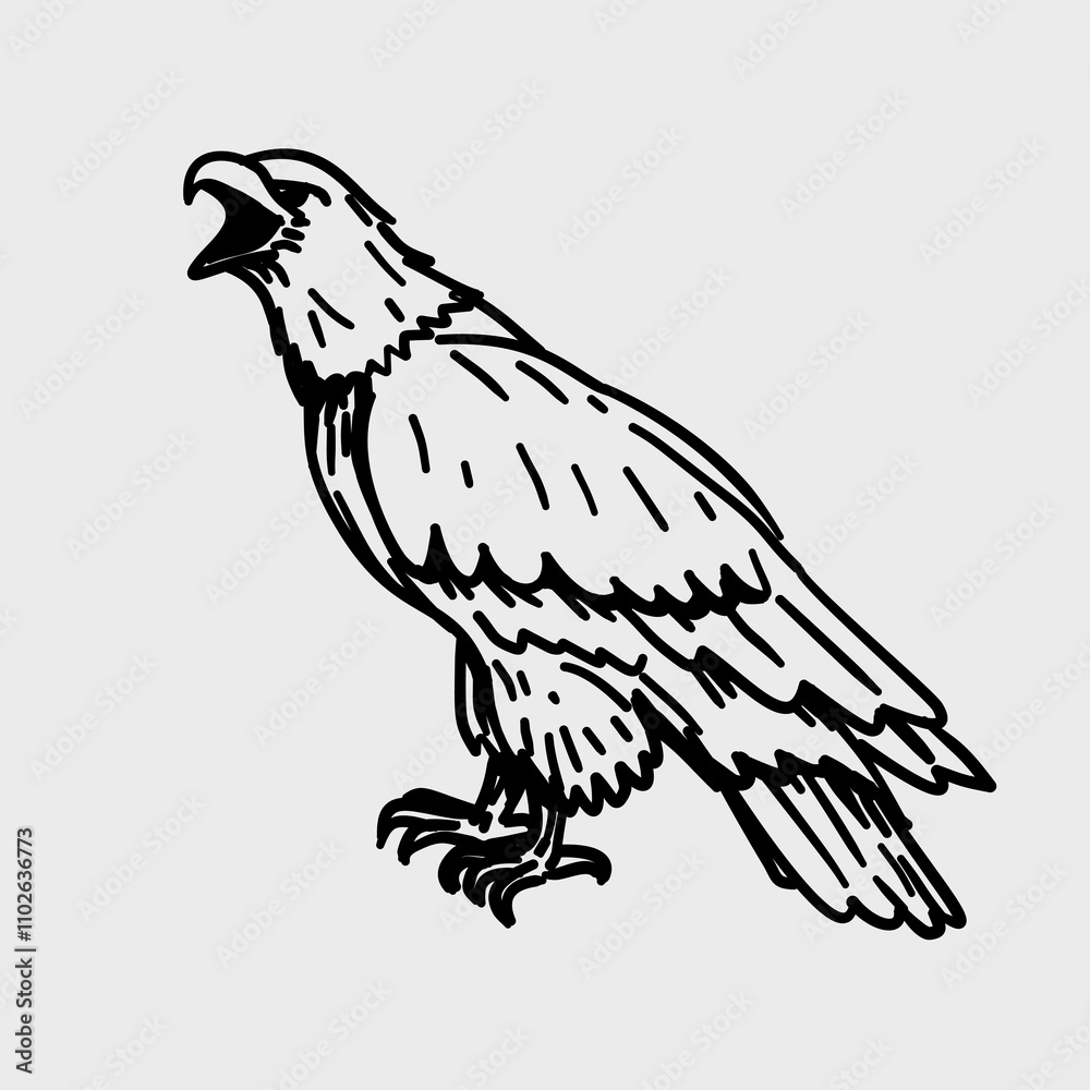 Fototapeta premium eagle on white
