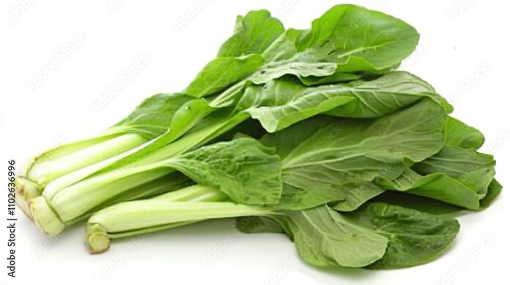 Chinese Cabbage - A Fresh and Nutritious Vegetable Display. The Green and White Chinese Cabbage, with Its Lush Leaves and Firm Structure, Standing Out as a Staple in Many Cuisines Chinese Cabbage - A Fresh and Nutritious Vegetable Display. The Green and White Chinese Cabbage, with Its Lush Leaves and Firm Structure, Standing Out as a Staple in Many Cuisines