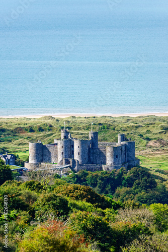 Obraz na płótnie Harlech Castle, Gwynedd, west Wales. Mediaeval fortress built by Edward I in late 13th C. View SW to Ceredigion Bay w salonie