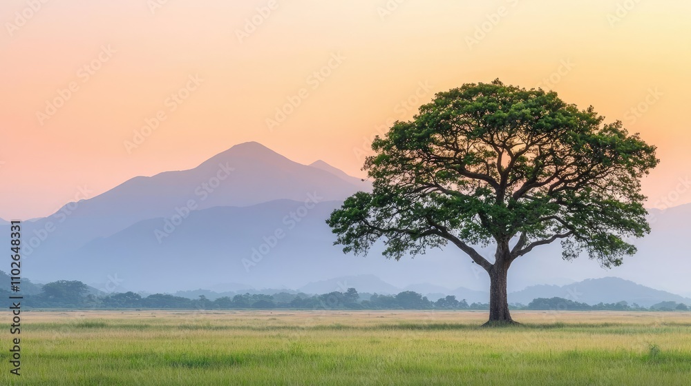 Lone tree in a serene landscape with mountains at sunset, tranquil atmosphere. Lone tree in a serene landscape with mountains at sunset, tranquil atmosphere.