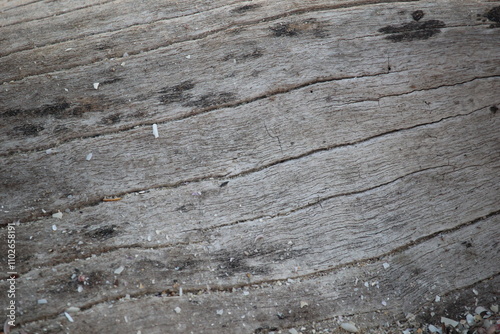 close up of dry wood texture suitable for illustration wallpaper