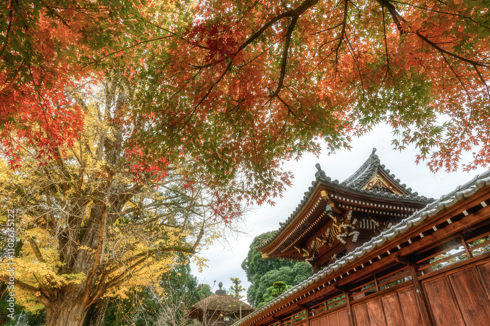 茨城県大子町 高徳寺の紅葉風景
茨城県大子町 高徳寺の紅葉風景