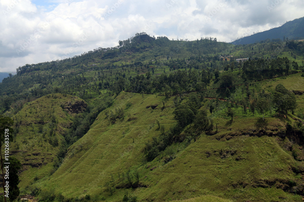 Fototapeta premium Beautiful landscape Pictures in Sri Lanka 