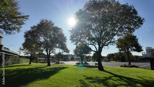 新横浜公園
