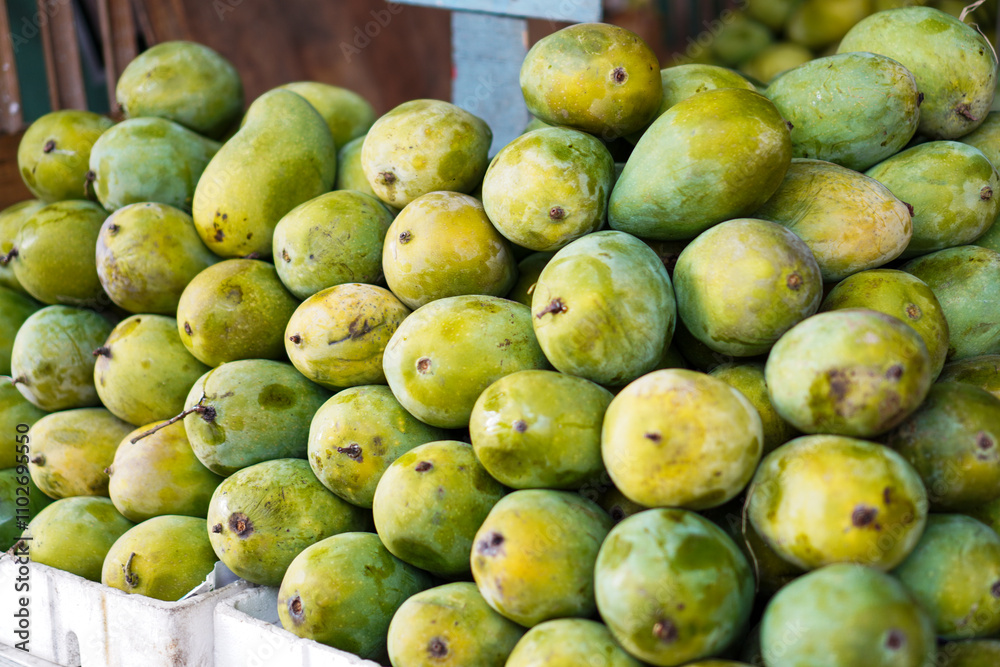 Close-up view of a pile of green mangoes at a market. The mangoes are fresh and look ready to be purchased. Fresh Green Mangoes at a Market Stall. Close-up view of a pile of green mangoes at a market. The mangoes are fresh and look ready to be purchased. Fresh Green Mangoes at a Market Stall.
