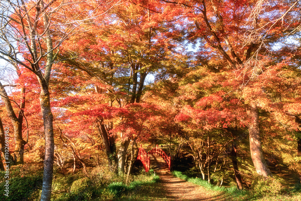福島県矢祭町 紅葉の矢祭山公園
福島県矢祭町 紅葉の矢祭山公園