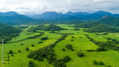 Reforestation efforts showcase resilient plant species in an expansive green landscape mountainous region nature photography aerial view environmental awareness